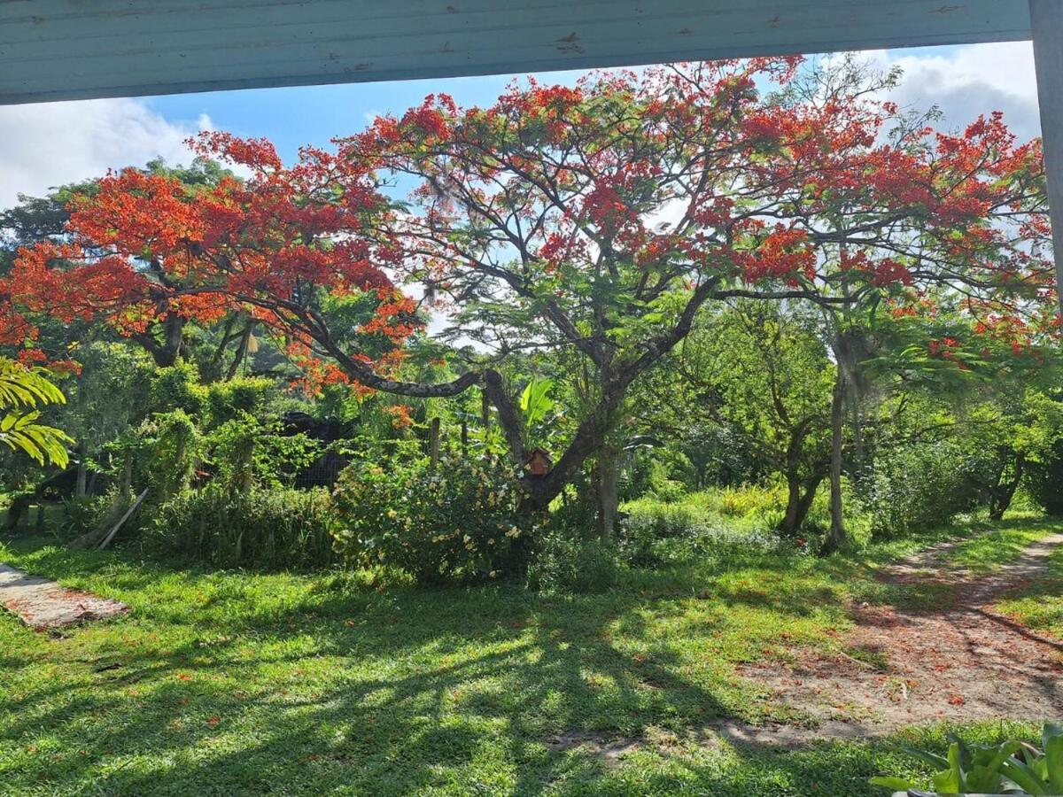 Ferias Em Floripa Casa de férias Florianopolis